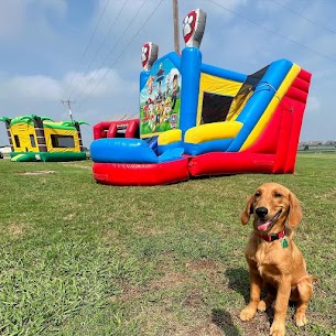 Adult Bounce House rental in Mansfield